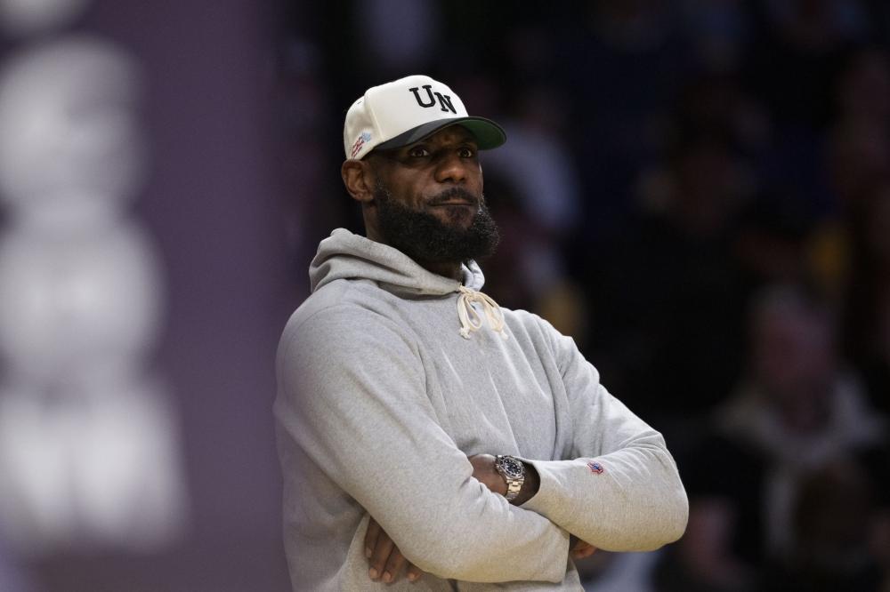 羽动宝鸡 羽动宝鸡